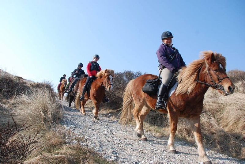 Discover the Charm of Denmark on a Horse Riding Holiday